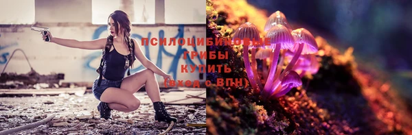 сатива Арсеньев