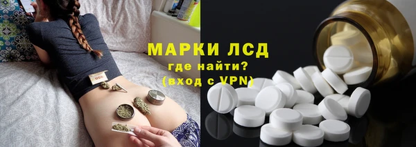 сатива Арсеньев