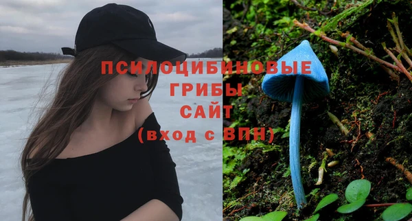 сатива Арсеньев