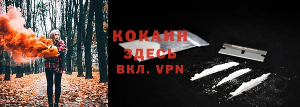 сатива Арсеньев