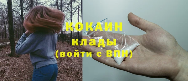 сатива Арсеньев