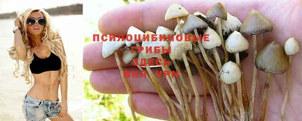 прущие крисы Армянск